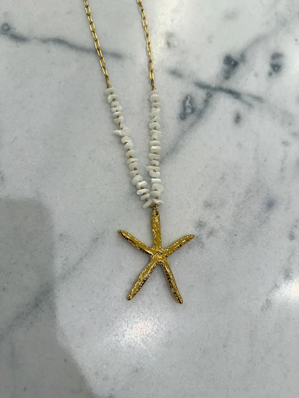XL Starfish & Shells